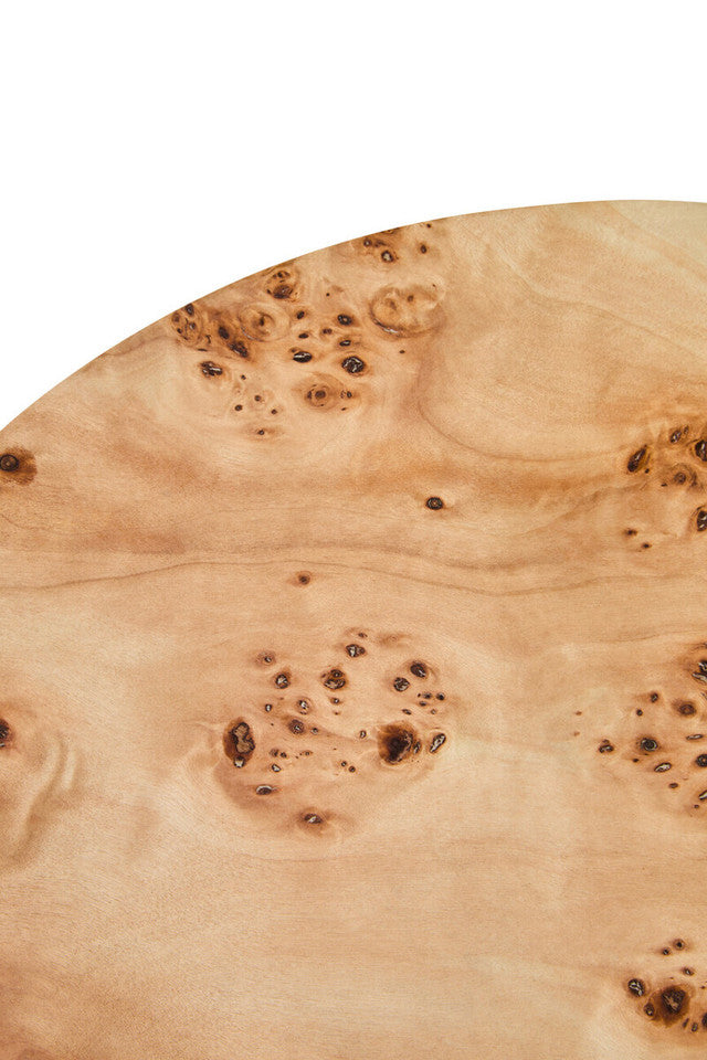 Burl Coffee Table - Industrious Decor