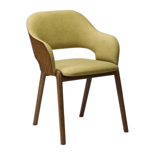 Rosen Veneer Armchair - Industrious Decor