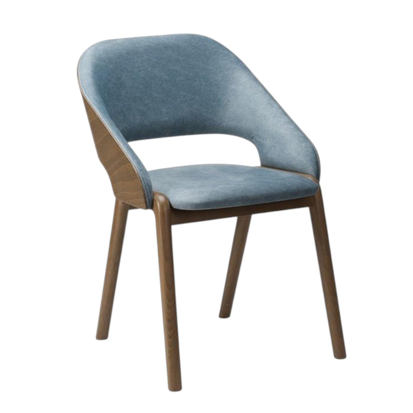Rosen Veneer Back Chair - Industrious Decor