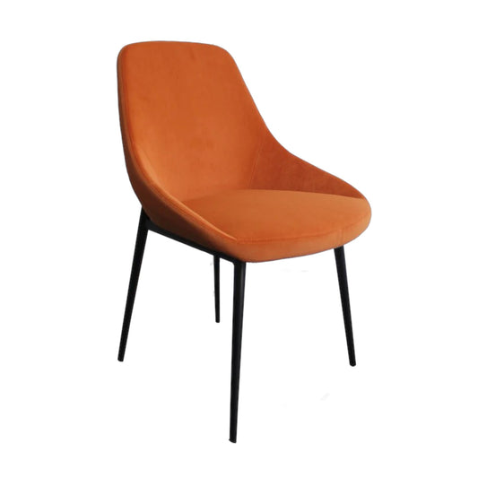 Set of 2 Allie Dining Chair