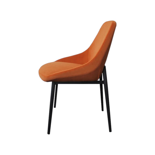 Set of 2 Allie Dining Chair